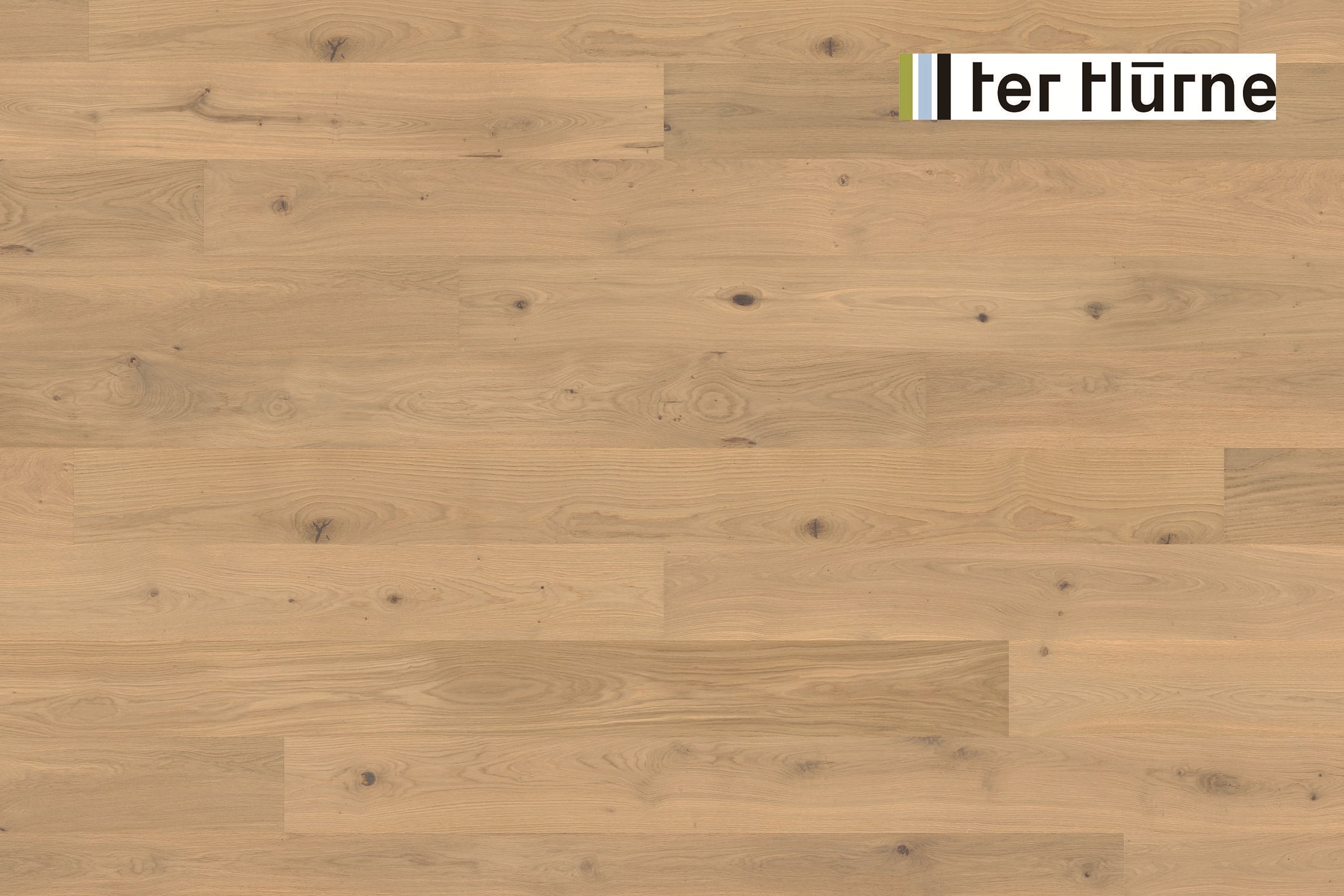 ter Hürne Parkett Landhausdiele | Eiche Mayfair